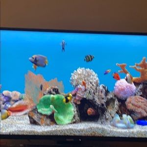 Meet your Posher, Shaquana